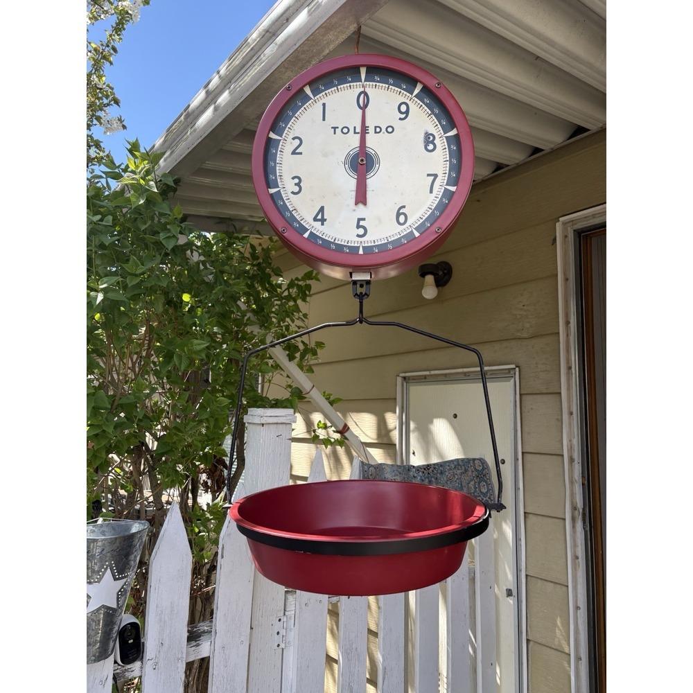 " Toledo 2110"‎  Double Sided 30 lb capacity Hanging Scale  with basket